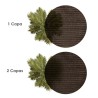 Malla Sombreo Rollo 2 x 50 metros, Reduce Radiación, Protección Jardín y Terraza, Regula Temperatura, Color Marrón