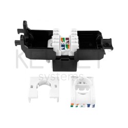 Keystone CAT6 UTP 180, toolless (sin herramientas). Certificación DELTA