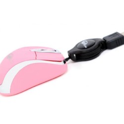 RATON MINI RLM-MC-003P