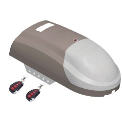 Motor seccional 600 Nm. 24V. Guía de cadena para puertas de 2,5 metros. 2 emisores de 4 canales