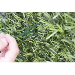 BLISTER BRIDAS 3,6x250 mm VERDE: 50 Und