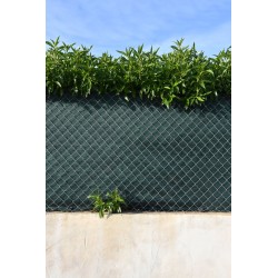 MALLA OCULTACIÓN 160gr. VERDE OSCURO 4x50 M