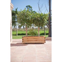 SET 3 PIEZAS MACETEROS RECTANGULAR 40/50/60