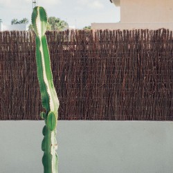 BREZO  MEDIUM PLUS 1x5m NT