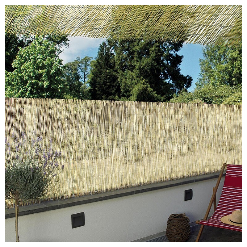 BAMBÚ PELADO REEDCANE 1,5x5m NT