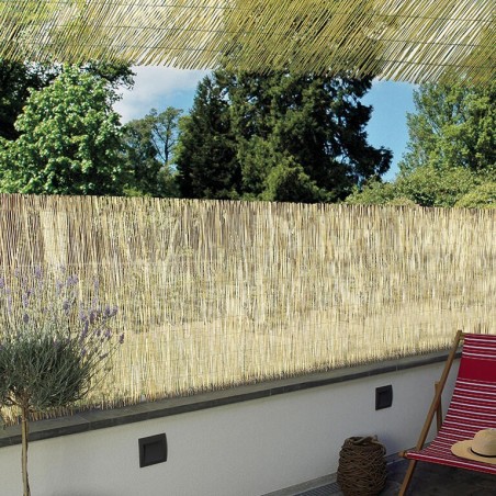 BAMBÚ PELADO REEDCANE 1,5x5m NT