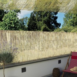 BAMBÚ PELADO REEDCANE 1x5m NT