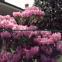 MALLA SQUARE 250gr 20x20 1x5m VE