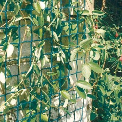 MALLA CLIMBANET 1x5m VE