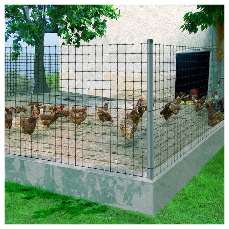 MALLA AVÍCOLA AVINET (BOP 36) 1x200m NE