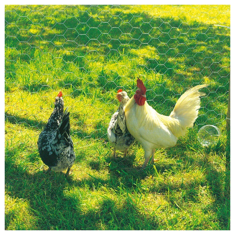 M. MET. HEXA GALVANEX 19  0,5x10m GA