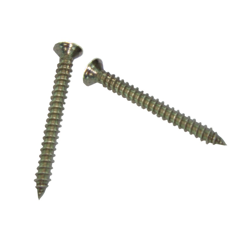 BLISTER TORNILLOS 30mm (COMPOSITE) 100 Und.