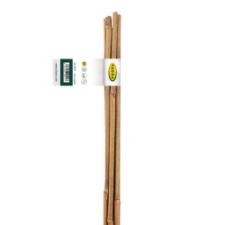 PACK (4 Und.) TUTOR BAMBU 120cm - Ø10/12