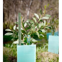 TUTOR ACERO PLASTIFICADO 120cm - Ø11 mm