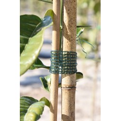 BOLSA 3Und. CINTA RÁFIA 3cm x 3m