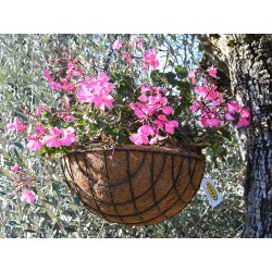 MACETERO COLGANTE COCO 30cm