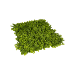 PACK JARDÍN VERTICAL 50x50 cm SILVESTRE (4 Und.)