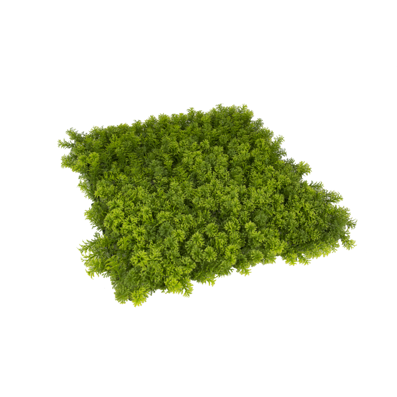 PACK JARDÍN VERTICAL 50x50 cm SILVESTRE (4 Und.)