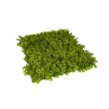 PACK JARDÍN VERTICAL 50x50 cm SILVESTRE (4 Und.)