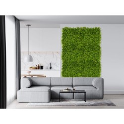 PACK JARDÍN VERTICAL 50x50 cm SILVESTRE (4 Und.)