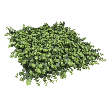 PACK JARDÍN VERTICAL 50x50 cm IROLIA  (4 Und.)