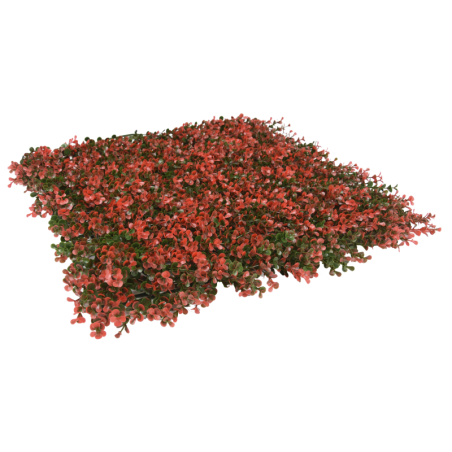 PACK JARDÍN VERTICAL 50x50 cm NATUS   (4 Und.)