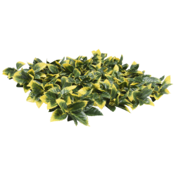 PACK JARDÍN VERTICAL 50x50 cm cm LAUREL  (4 Und.)