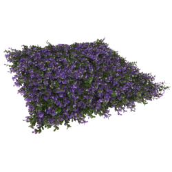 PACK JARDÍN VERTICAL 50x50 cm cm LAVANDA   (4 Und.)