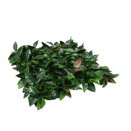 JARDÍN VERTICAL 100x100 cm LIPTUS