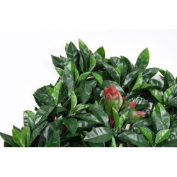 JARDÍN VERTICAL 100x100 cm LIPTUS