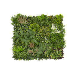 JARDÍN VERTICAL 100x100 cm MADAGASCAR