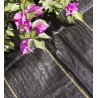 MALLA ANTIHIERBAS 180gr. NEGRA 1x50 M