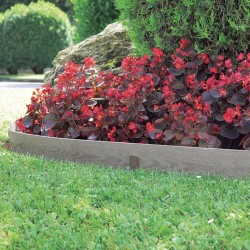 BORDO COMPOSITE WOODTEC ROLL 0,09x5m MA