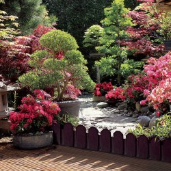 BORDO PVC SIERRA (4) 0,20x0,80m MA