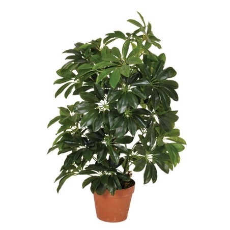 PLANTA ARTIFICIAL CHEFLERA 65cm VE