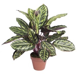 PLANTA ARTIFICIAL CALATEA CEBRA 49cm VE