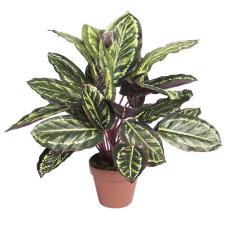 PLANTA ARTIFICIAL CALATEA CEBRA 49cm VE