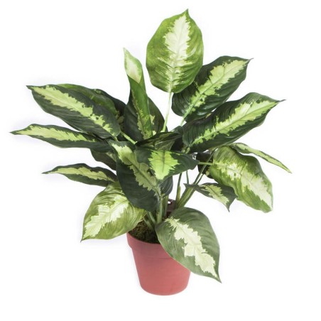 PLANTA ARTIFICIAL CALATEA 49cm VE