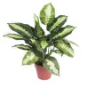 PLANTA ARTIFICIAL CALATEA 49cm VE