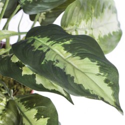 PLANTA ARTIFICIAL CALATEA 49cm VE