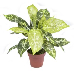 PLANTA ARTIFICIAL CALATEA LUISAE 49cm VE
