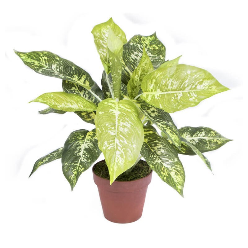 PLANTA ARTIFICIAL CALATEA LUISAE 49cm VE