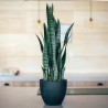 PLANTA ARTIFICIAL SANSEVIERIA 70cm VE