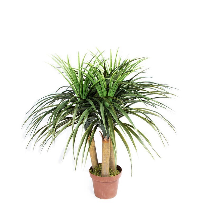 PLANTA ARTIFICIAL NOLINA MINI 75cm VE