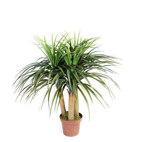 PLANTA ARTIFICIAL NOLINA MINI 75cm VE