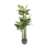 PLANTA ARTIFICIAL PATA DE ELEFANTE 150cm