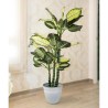 PLANTA ARTIFICIAL PATA DE ELEFANTE 150cm
