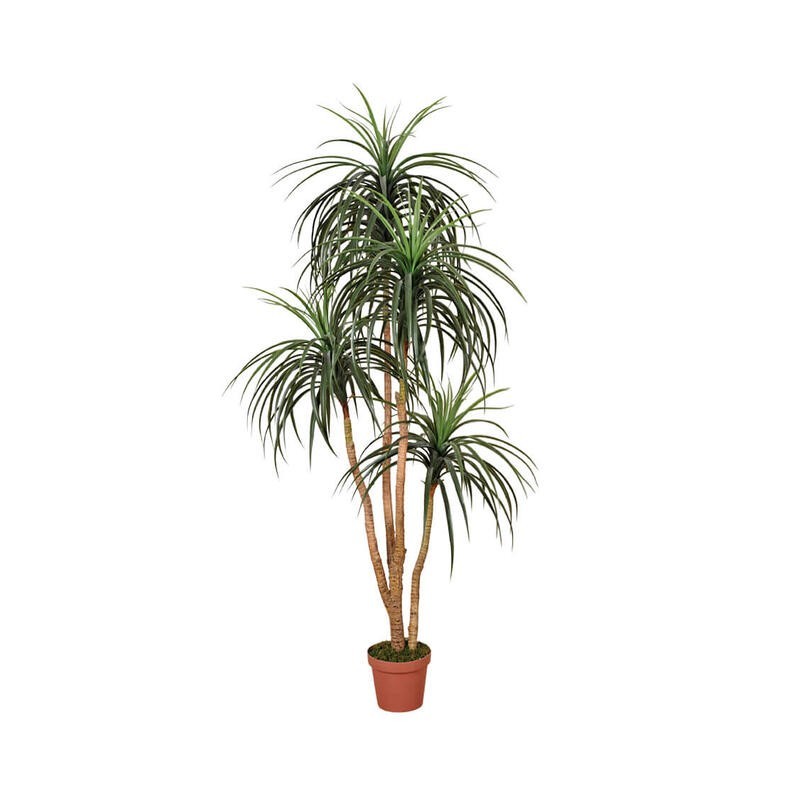 PLANTA ARTIFICIAL NOLINA 185cm VE
