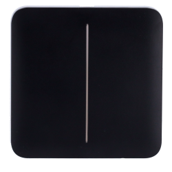 Panel táctil para interruptor Lightcore doble. LightSwitch SoloButton Black. AJAX